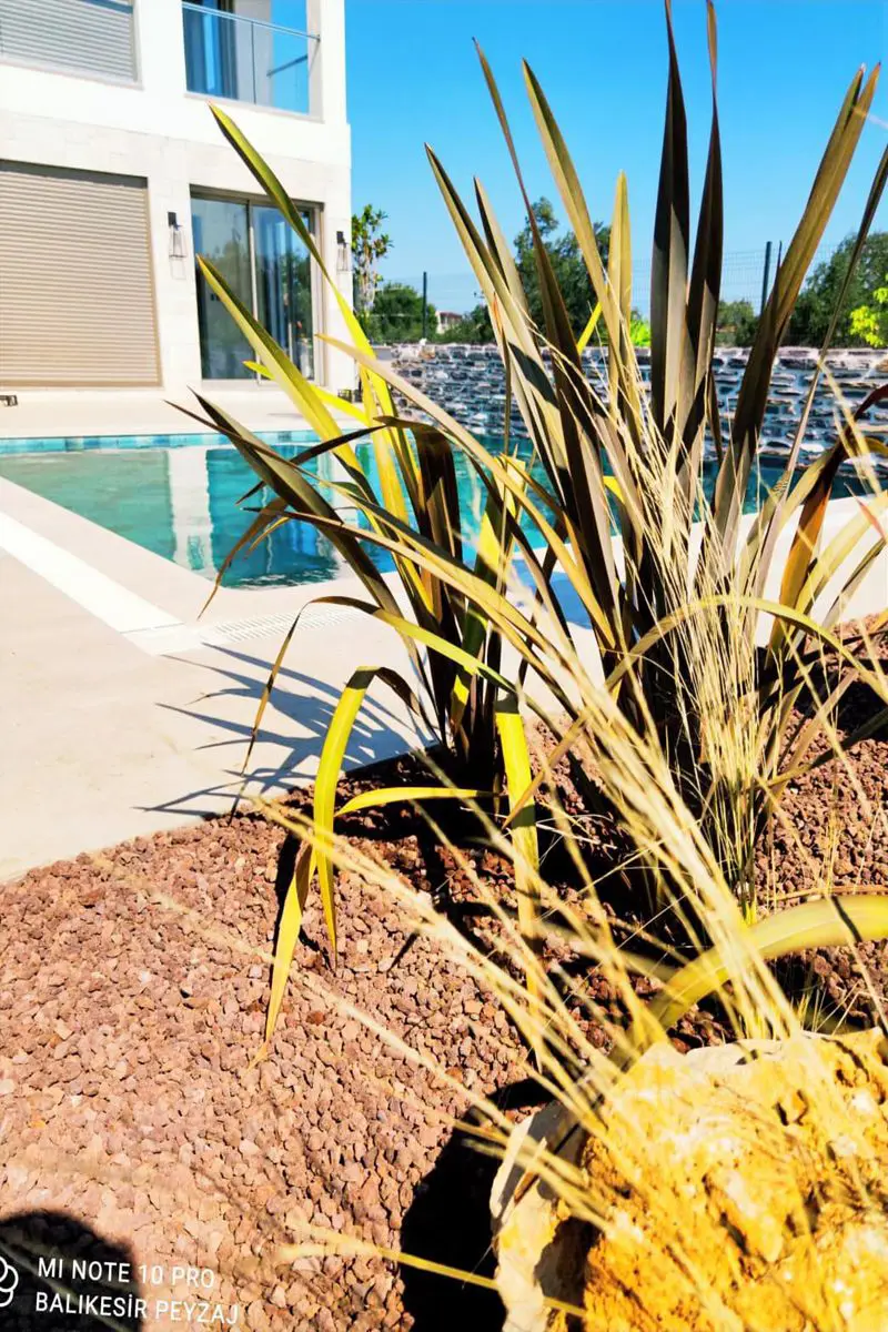 Güre yazlık villa hazır rulo çim sonrası