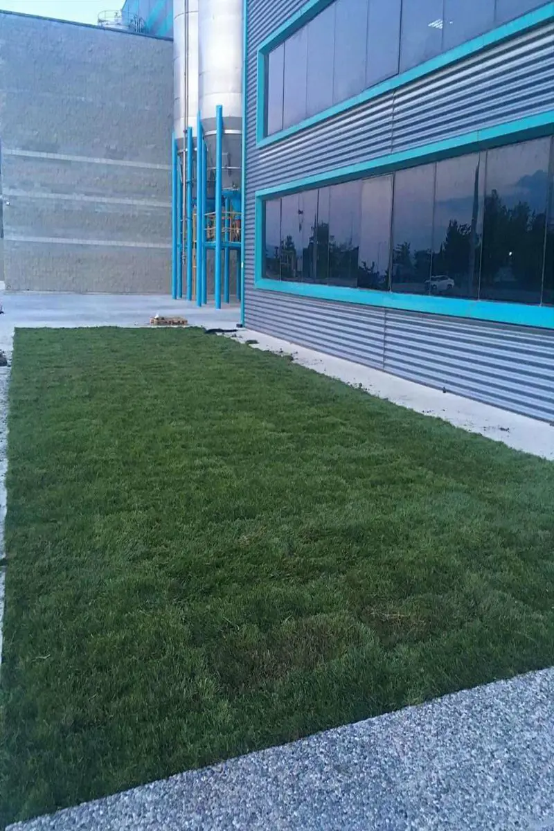 Balıkesir rulo çim serimi sonrası final görüntüsü - Varaka Kağıt Fabrikası Peyzaj